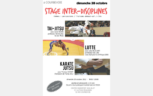 Stage Courbevoie 28 Octobre 2012 Inter-Disciplines